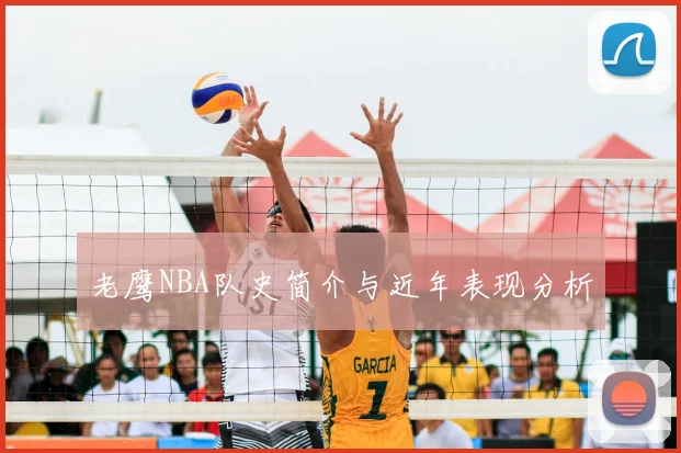 老鹰NBA队史简介与近年表现分析