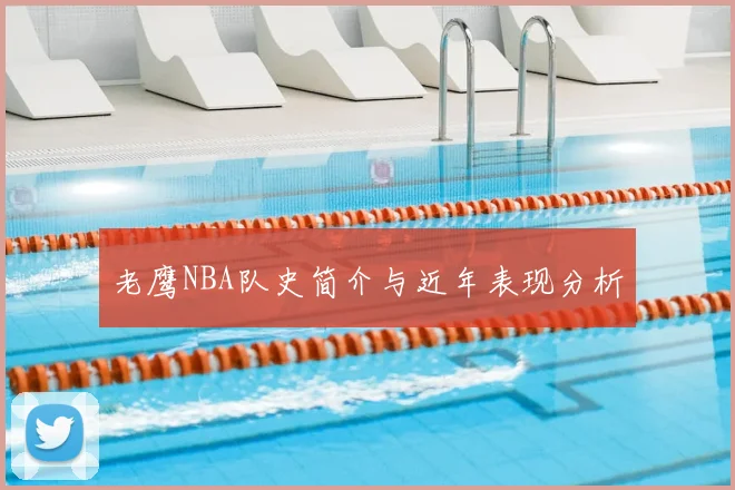 老鹰NBA队史简介与近年表现分析
