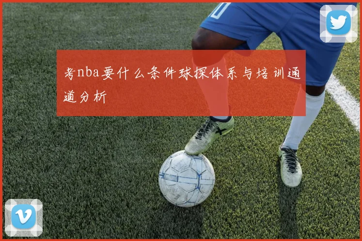 考nba要什么条件球探体系与培训通道分析